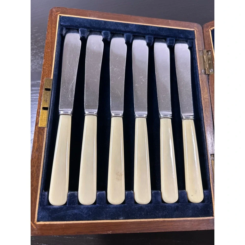 Mappin & Webb Princes Plate Fish Cutlery Set 12pc Silver Plate Cream Handles Box